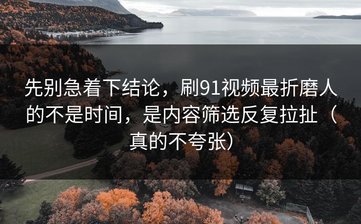 先别急着下结论，刷91视频最折磨人的不是时间，是内容筛选反复拉扯（真的不夸张）