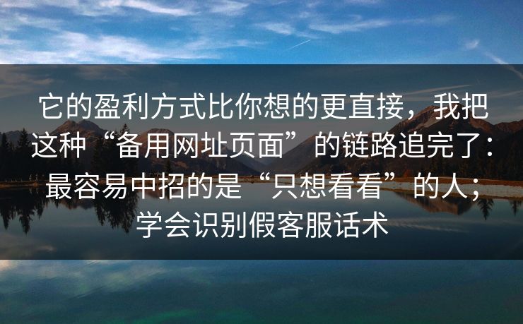 它的盈利方式比你想的更直接，我把这种“备用网址页面”的链路追完了：最容易中招的是“只想看看”的人；学会识别假客服话术