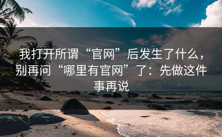 我打开所谓“官网”后发生了什么，别再问“哪里有官网”了：先做这件事再说
