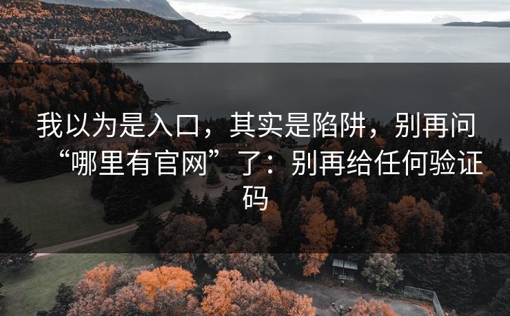 我以为是入口，其实是陷阱，别再问“哪里有官网”了：别再给任何验证码