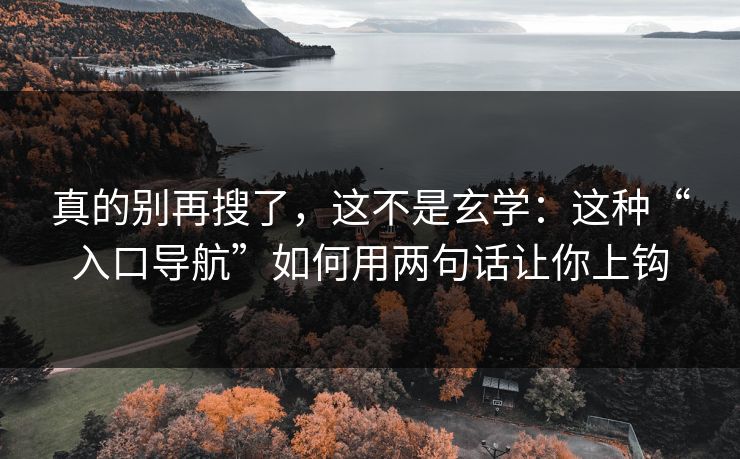 真的别再搜了，这不是玄学：这种“入口导航”如何用两句话让你上钩