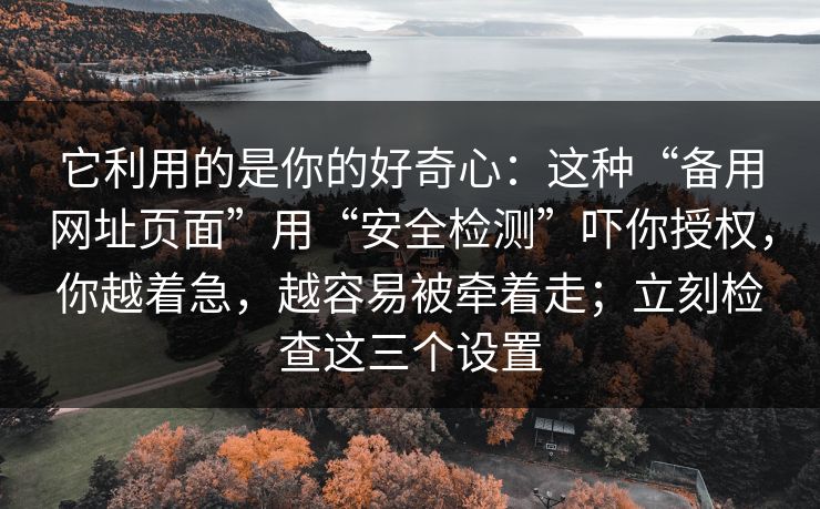 它利用的是你的好奇心：这种“备用网址页面”用“安全检测”吓你授权，你越着急，越容易被牵着走；立刻检查这三个设置