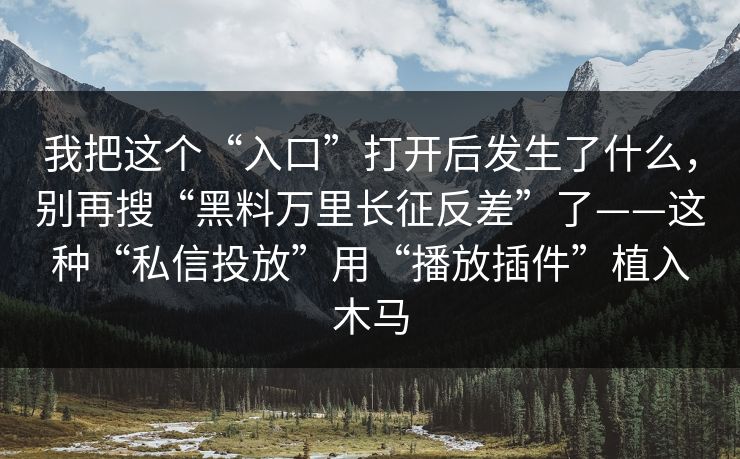 我把这个“入口”打开后发生了什么，别再搜“黑料万里长征反差”了——这种“私信投放”用“播放插件”植入木马